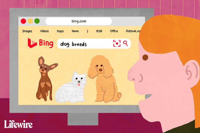 Persona que busca " razas de perros" en Bing