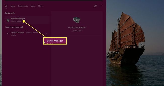 Device Manager în Windows 11 Rezultatele căutării din meniul Start