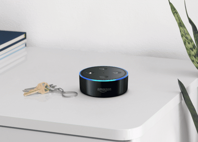 Amazon Echo dot на полке