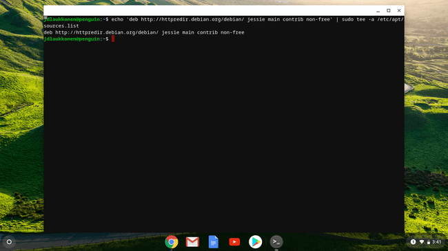 Chrome OS'deki Linux terminalinin ekran görüntüsü.