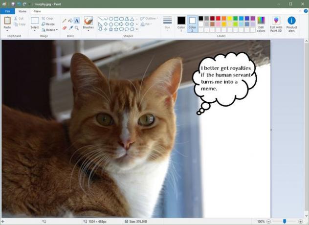 Screenshot von Microsoft Paint Sprechblase