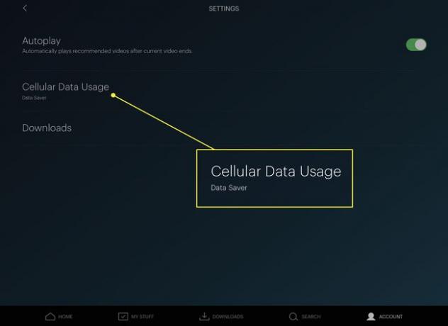 セルラーデータ使用量の見出しが強調表示されたHuluの設定ページのスクリーンショット