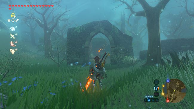 Įėjimas į prarastus miškus filme „Zelda legenda: laukinės gamtos kvėpavimas“.