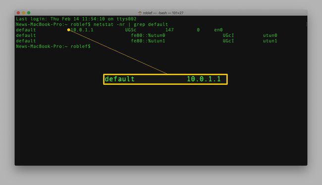 Comando netstat en Terminal en macOS con resultado predeterminado