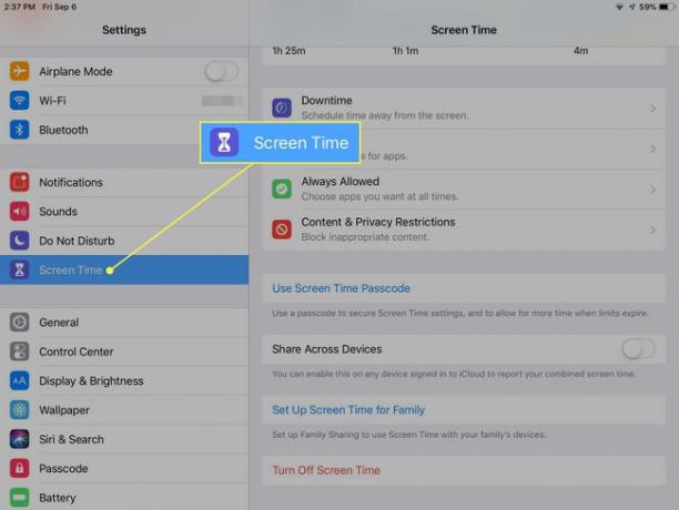 Una captura de pantalla de la configuración del iPad con Screen Time resaltado