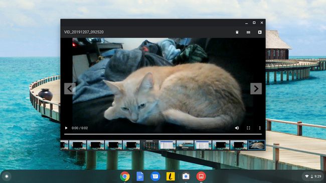 Ecranul de previzualizare a aplicației Chromebook Camera