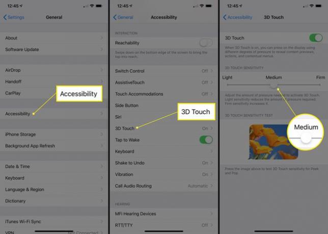 Üldine, juurdepääsetavuse, 3D Touch ja 3D Touchi liugur iOS-i seadetes