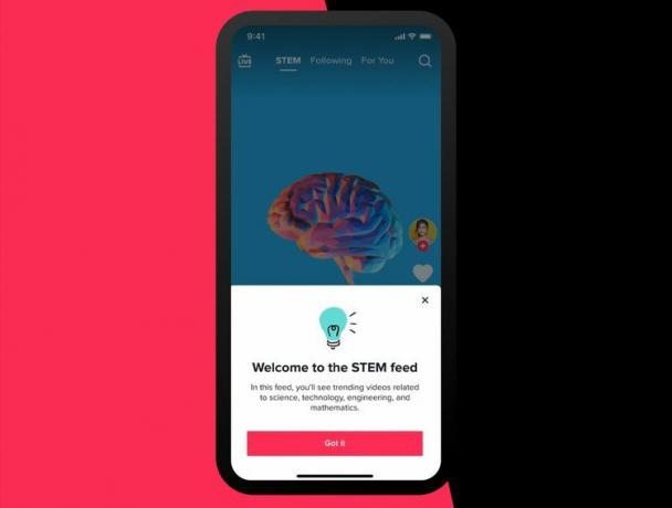 TikTok の STEM フィード