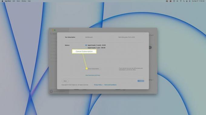 Avbryt abonnement uthevet i App Store på en Mac.