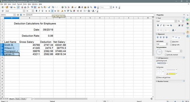 De namen worden direct uitgelijnd in OpenOffice Calc.