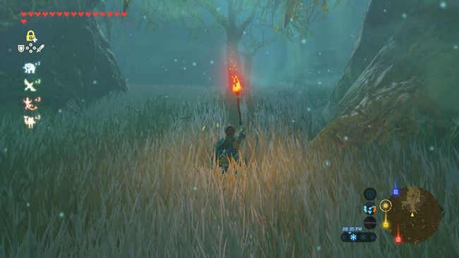Εύρεση του μονοπατιού προς το Master Sword στο The Legend of Zelda: Breath of the Wild.