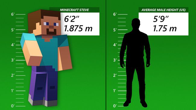 MinecraftのSteveの身長と平均的な男性の身長の比較。