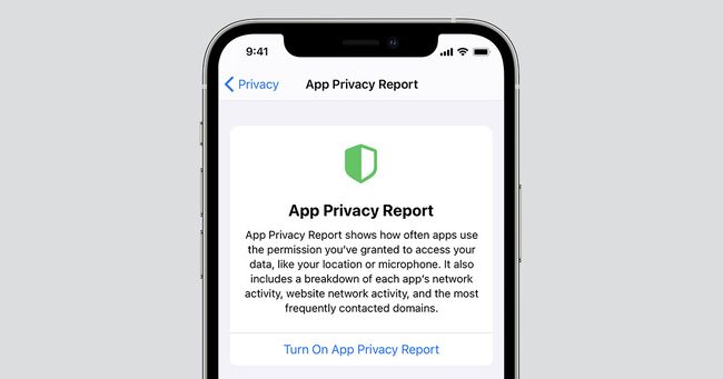 iPhone의 앱 개인정보 보호 보고서