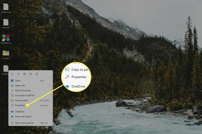Filegenskaper-menyen uthevet i Windows 11.