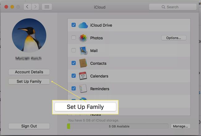 Mac-käyttäjän iCloud-sivu, jossa " Määritä perhe" -vaihtoehto on korostettuna