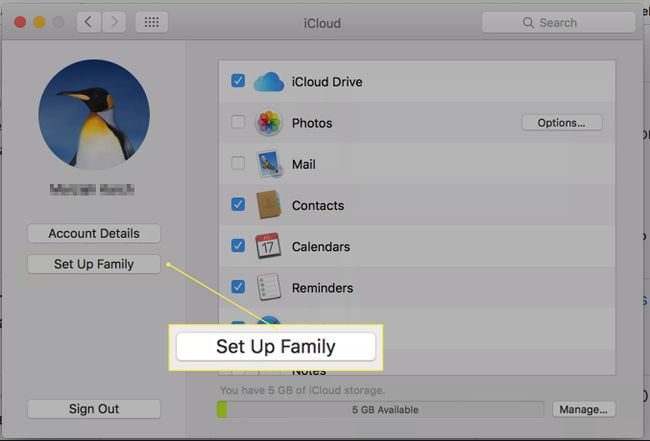 Stránka iCloud uživatele Mac se zvýrazněnou možností „Nastavit rodinu“.