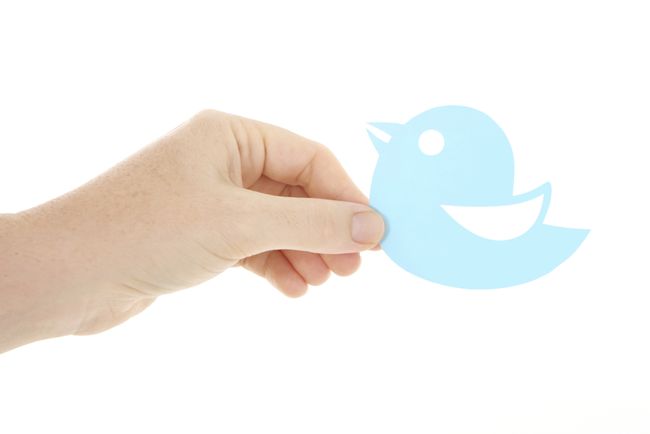 Main tenant le logo qui ressemble à l'oiseau bleu de Twitter.