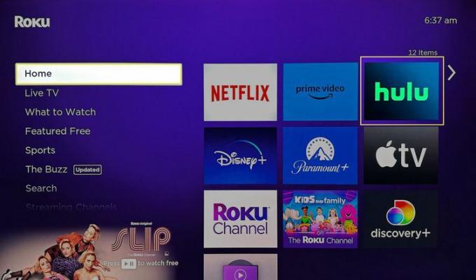 Roku のホーム画面に新しくインストールされた Hulu アプリ。