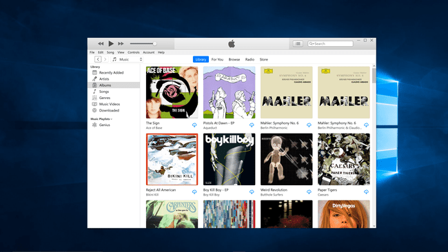 iTunes მუშაობს Windows კომპიუტერზე.