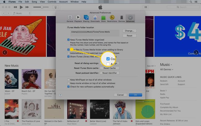 「ファイルをiTunesフォルダにコピー」ボックスが強調表示されたiTunesの詳細設定