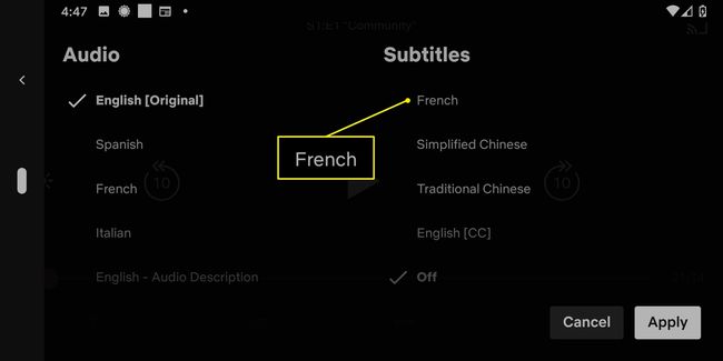 Opțiuni de subtitrare în aplicația Netflix cu limba franceză evidențiată.