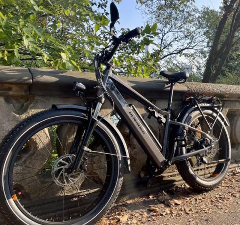 RadCity 6 Plus eBikeは、公園のコンクリートの壁にもたれかかっていました。 