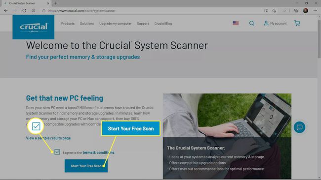 Флажок " Условия и соглашения" и " Начать бесплатное сканирование" выделены в сканере Crucial System Scanner.