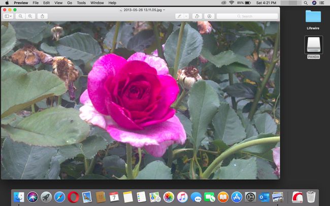 Ein in der Vorschau in macOS geöffnetes Foto