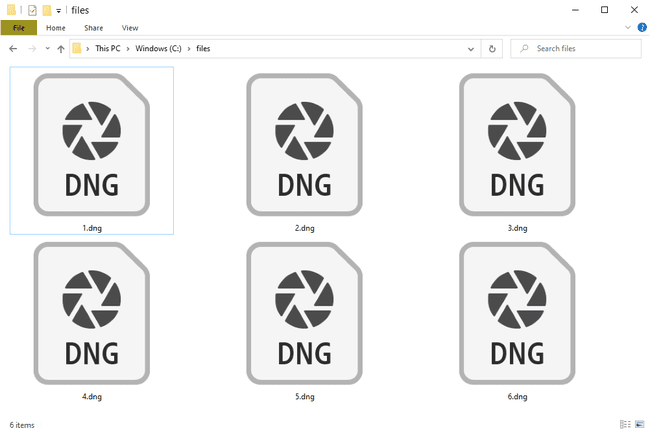 Verschillende DNG-bestanden in Windows 10