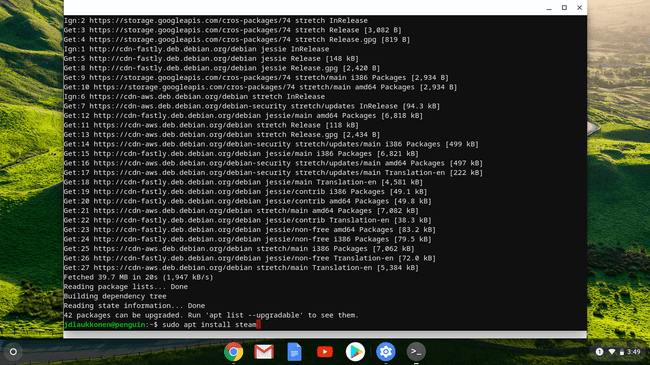 Chrome OS'deki Linux terminalinin ekran görüntüsü.