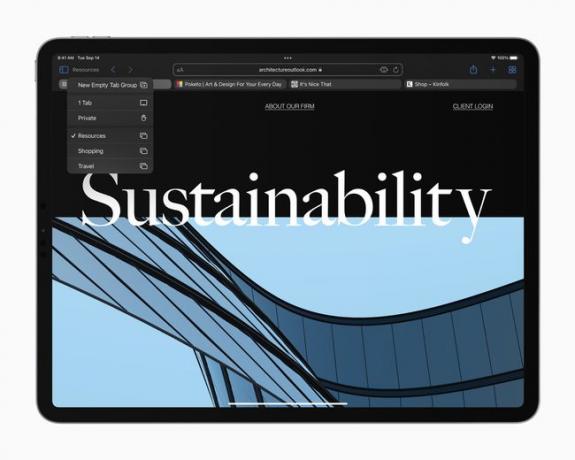 Safari-Tab-Gruppen in iPadOS 15