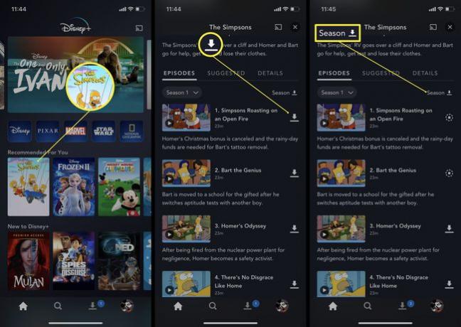 Steg som behövs i Disney Plus-appen för att ladda ner avsnitt eller säsonger av ett TV-program