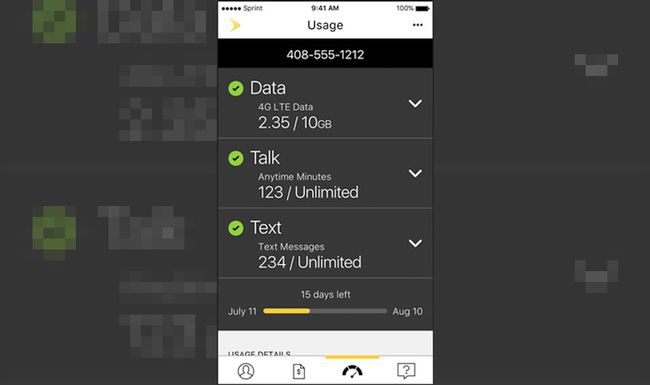 Ecranul de utilizare a datelor aplicației Sprint