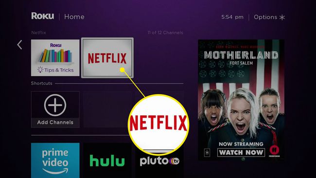 Snimka zaslona Netflixa na popisu Roku kanala.