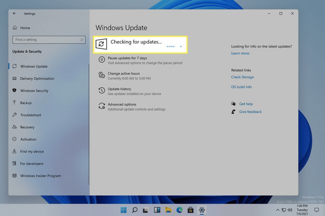 Søker etter oppdateringer-skjermen i Windows 11