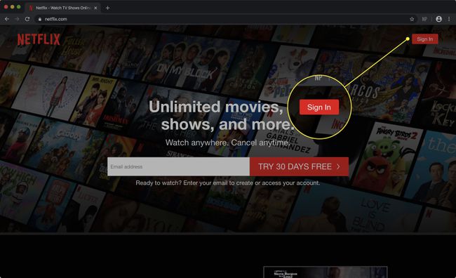 ภาพหน้าจอของเว็บไซต์ Netflix ที่ไฮไลต์ปุ่มลงชื่อเข้าใช้