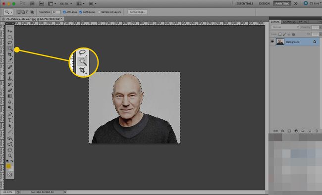 Een afbeelding geopend in Photoshop met het gereedschap Toverstaf gemarkeerd