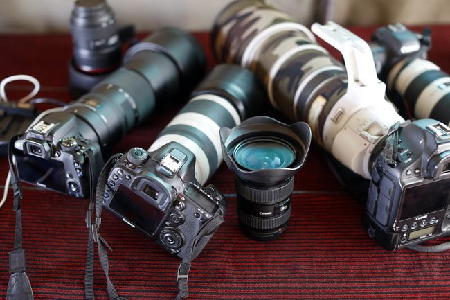 Safari fotografija. Canon i Nikon digitalni fotoaparati i objektivi. Masai Mara rezervat divljači. Kenija.