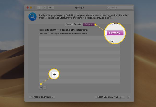 Spotlight設定パネル、[プライバシー]タブと[追加（プラス）]ボタンを強調表示