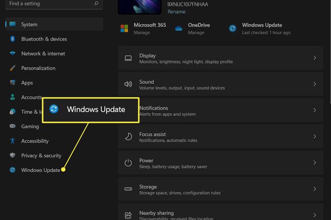 Aplicația de setări Windows 11 cu Windows Update în meniul din stânga evidențiat