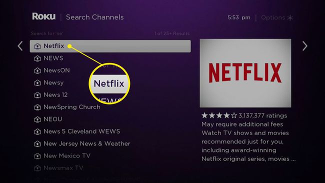 Snimka zaslona Netflixa u Roku Channel Storeu.