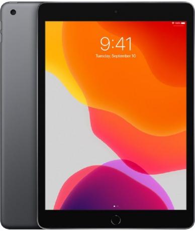 Snímek obrazovky produktu iPad 7. generace v břidlicově šedé barvě