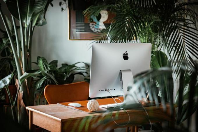 植物でいっぱいの部屋の木の机の上にある古い銀色の iMac