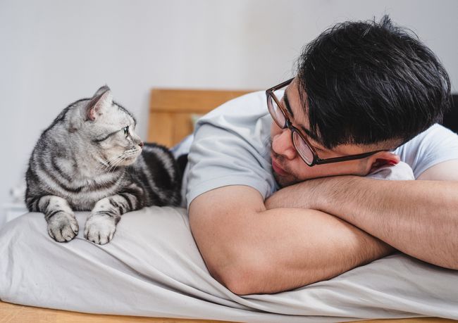 Mann liegt mit seiner Katze auf dem Bett und sieht sich an