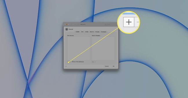 + en la configuración de DNS en una Mac.