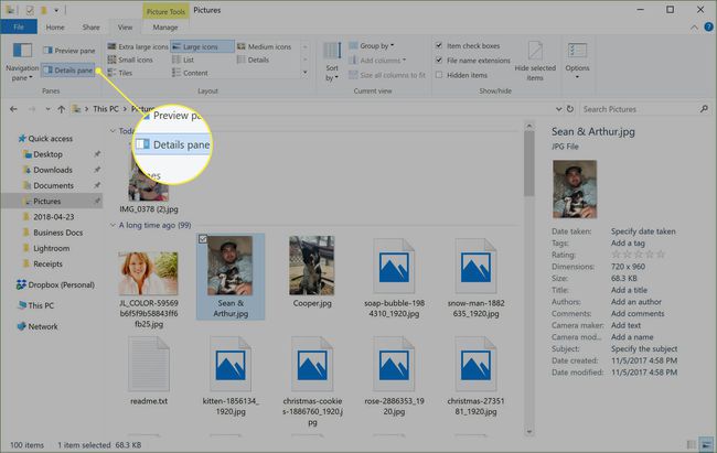 Okno Windows File Explorer z odprtim podoknom s podrobnostmi.