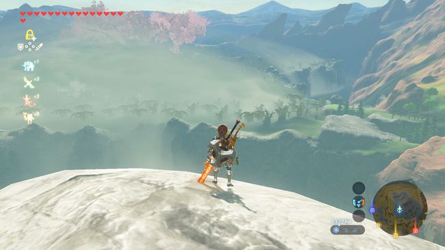 النظر إلى الغابة المفقودة من أعلى برج وودلاند في The Legend of Zelda: Breath of the Wild.