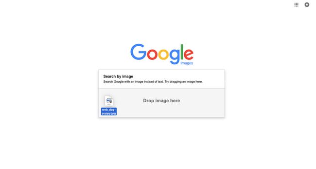 Google 이미지 검색창으로 드래그되는 파일.