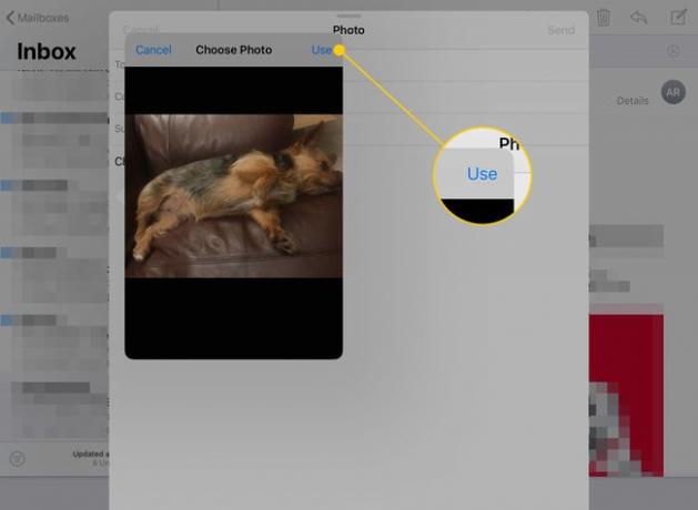يتم فتح نافذة تحديد صورة في رسالة بريد إلكتروني على جهاز iPad مع تمييز الزر " استخدام"