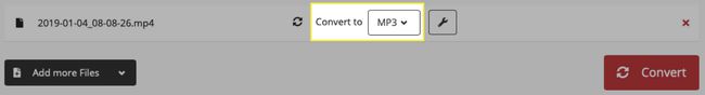 Confirme o formato do arquivo MP3 no site do Cloud Convert.